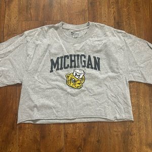 Grey University of Michigan crop top